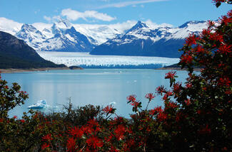 calafate-jg-059