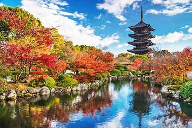 JAPON ENCANTOS DEL SAKURA día 8