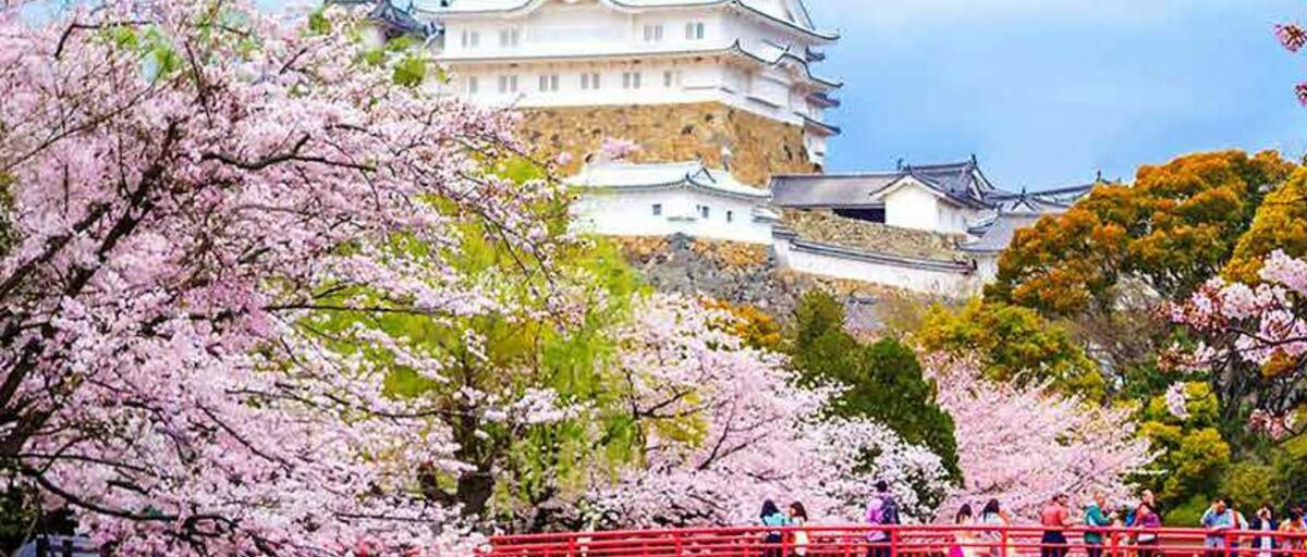 JAPÓN Encantos del Sakura Con STOP en MADRID