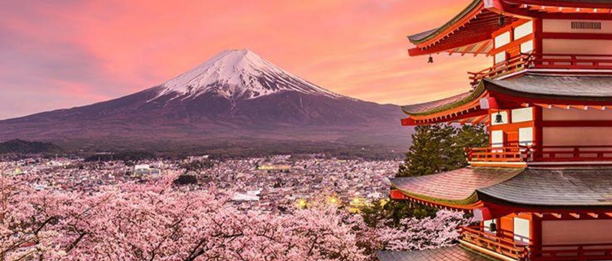 JAPÓN Encantos del Sakura Con STOP en MADRID