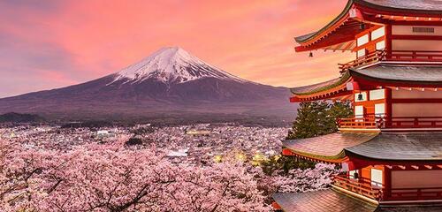 JAPÓN Encantos del Sakura Con STOP en MADRID
